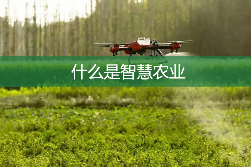什么是智慧農(nóng)業(yè)?