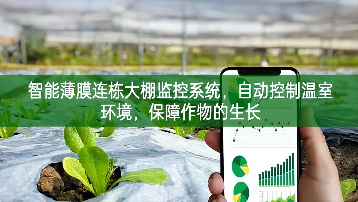 智能薄膜連棟大棚監(jiān)控系統(tǒng),自動(dòng)控制溫室環(huán)境,保障作物的生長(zhǎng) 智能薄膜連棟大棚監(jiān)控系統(tǒng),自動(dòng)控制溫室環(huán)境,保障作物的生長(zhǎng)