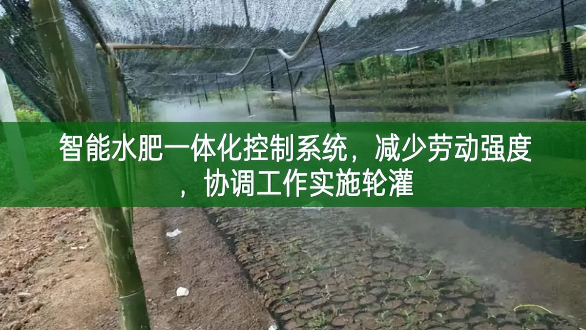 智能水肥一體化控制系統,減少勞動強度,協調工作實施輪灌