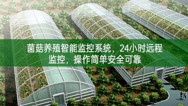 菌菇養(yǎng)殖智能監(jiān)控系統(tǒng)，24小時(shí)遠(yuǎn)程監(jiān)控，操作簡(jiǎn)單安全可靠
