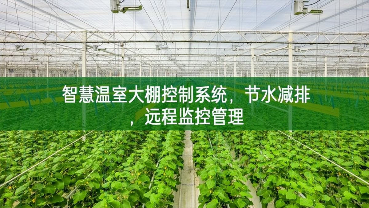 智慧溫室大棚控制系統，節水減排，遠程監控管理