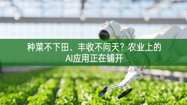 種菜不下田、豐收不問(wèn)天？農(nóng)業(yè)上的AI應(yīng)用正在鋪開(kāi)
