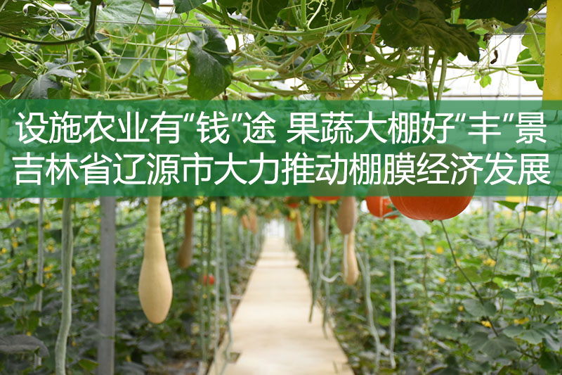 設施農業有“錢”途 果蔬大棚好“豐”景——吉林省遼源市大力推動棚膜經濟發展