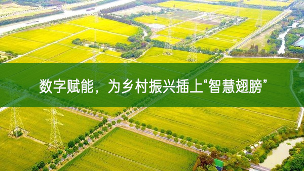 數字賦能,為鄉村振興插上“智慧翅膀”