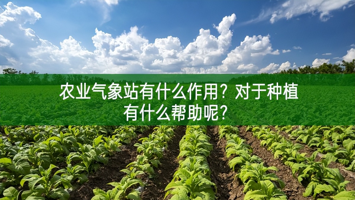 農業氣象站有什么作用?對于種植有什么幫助呢?