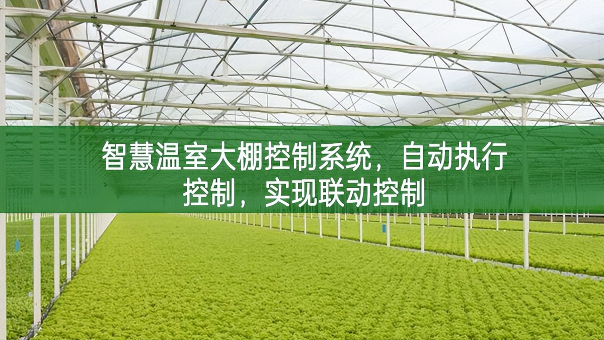 智慧溫室大棚控制系統，自動執行控制，實現聯動控制