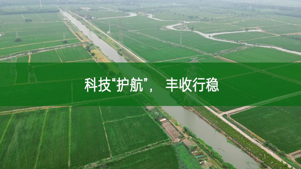 科技“護航”， 豐收行穩
