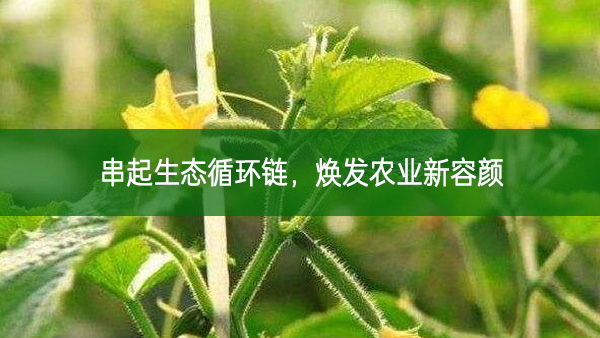 串起生態(tài)循環(huán)鏈 煥發(fā)農(nóng)業(yè)新容顏