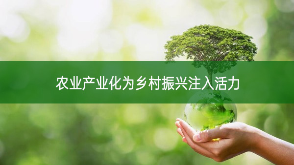 農(nóng)業(yè)產(chǎn)業(yè)化為鄉(xiāng)村振興注入活力