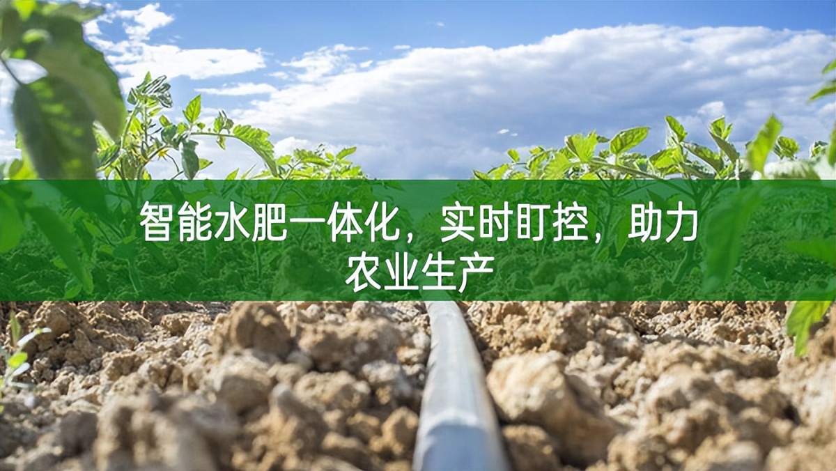 智能水肥一體化,實時盯控,助力農業生產