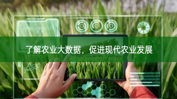 了解農業大數據,促進現代農業發展