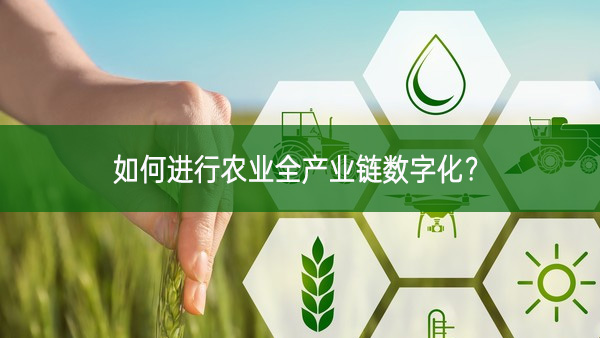如何進行農業全產業鏈數字化？