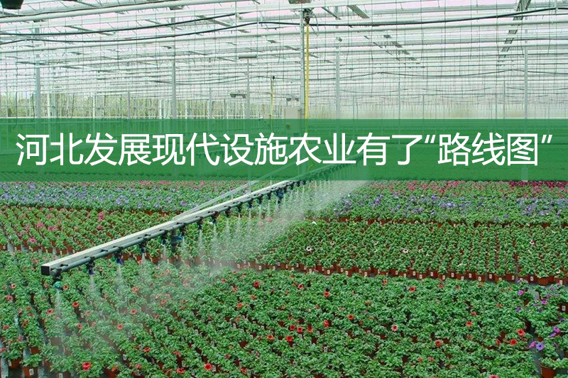 河北發(fā)展現(xiàn)代設(shè)施農(nóng)業(yè)有了“路線(xiàn)圖”