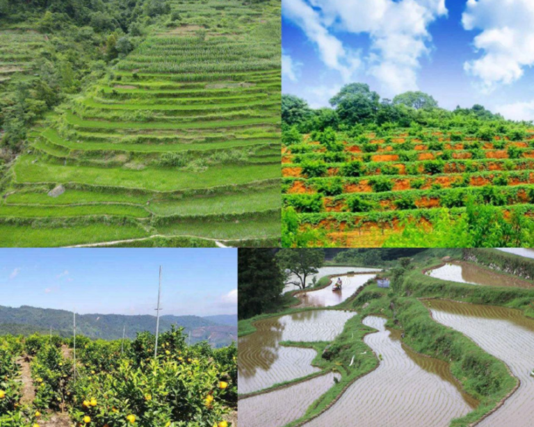 應(yīng)用場(chǎng)景