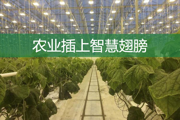農(nóng)業(yè)插上智慧翅膀