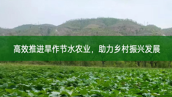 高效推進旱作節水農業 助力鄉村振興發展