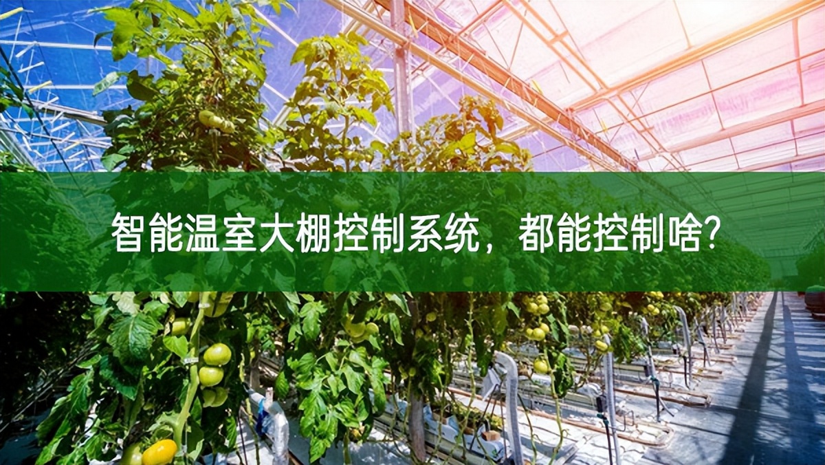 智能溫室大棚控制系統，都能控制啥?