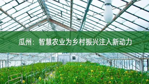 瓜州：智慧農業為鄉村振興注入新動力