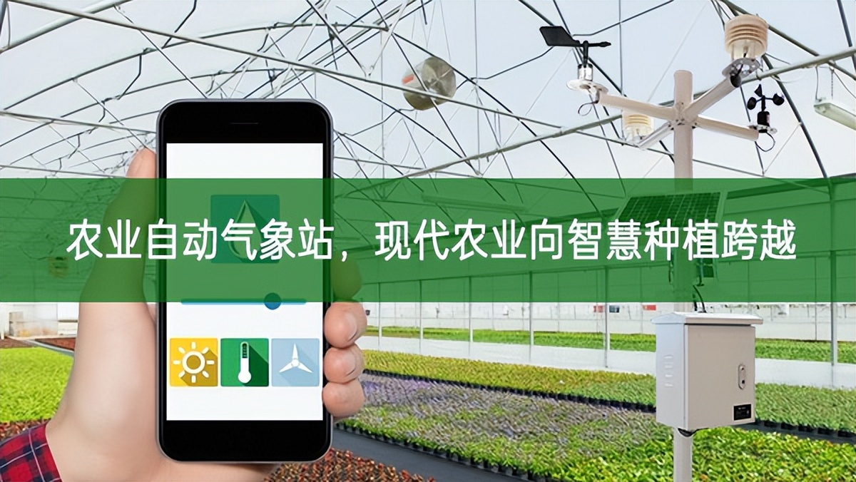 農(nóng)業(yè)自動氣象站，現(xiàn)代農(nóng)業(yè)向智慧種植跨越
