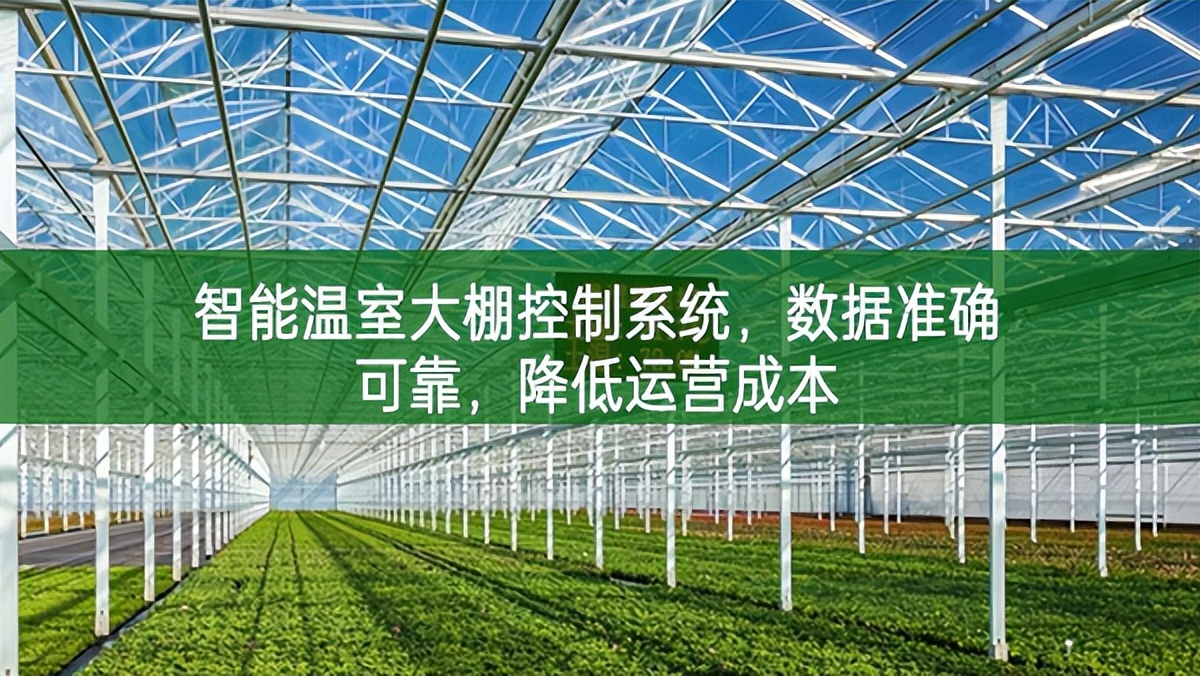 智能溫室大棚控制系統,數據準確可靠,降低運營成本