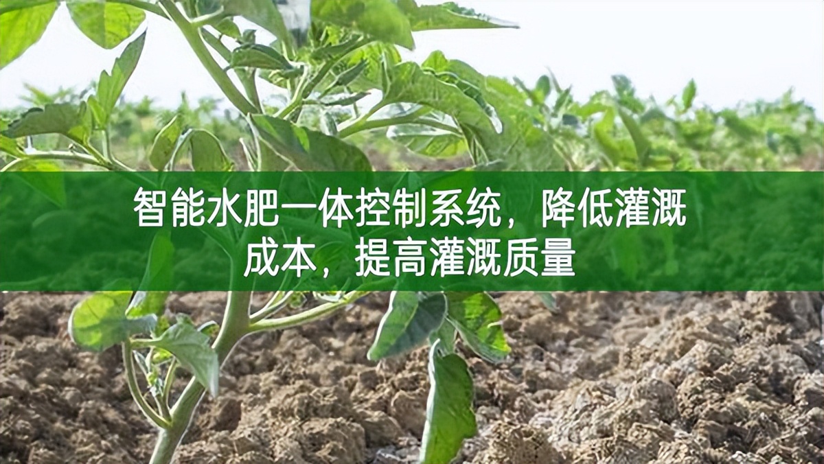 智能水肥一體控制系統(tǒng)，降低灌溉成本，提高灌溉質(zhì)量