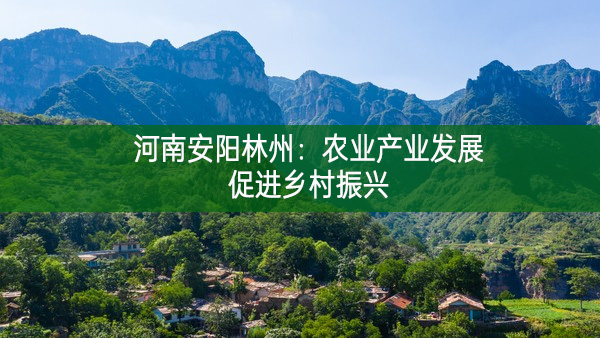 河南安陽林州：農(nóng)業(yè)產(chǎn)業(yè)發(fā)展促進(jìn)鄉(xiāng)村振興