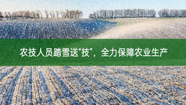 農技人員踏雪送“技”,全力保障農業生產