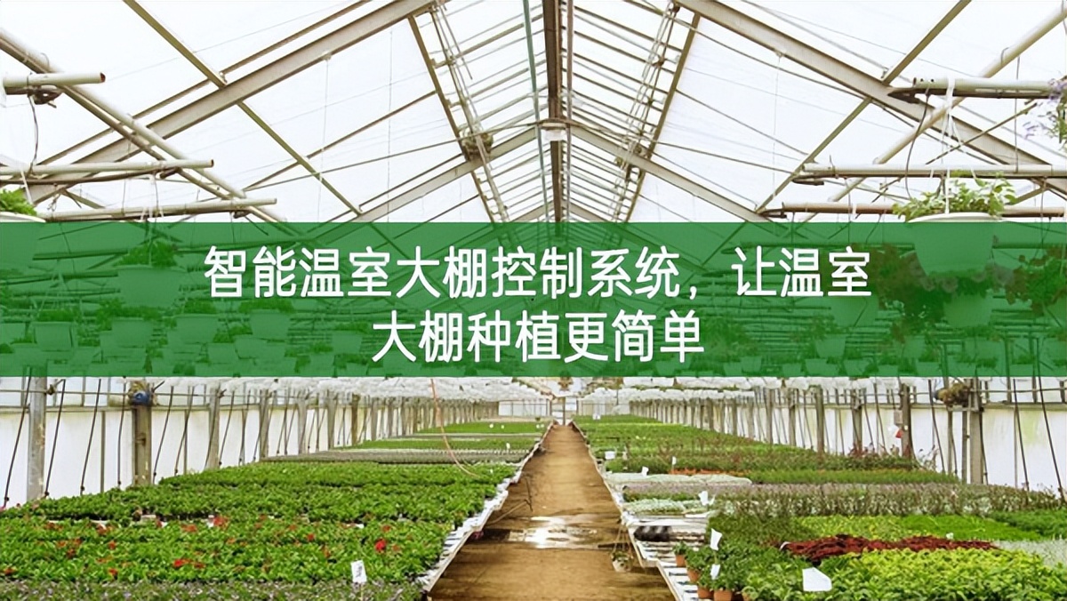 智能溫室大棚控制系統，讓溫室大棚種植更簡單