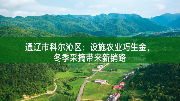 通遼市科爾沁區：設施農業巧生金，冬季采摘帶來新銷路