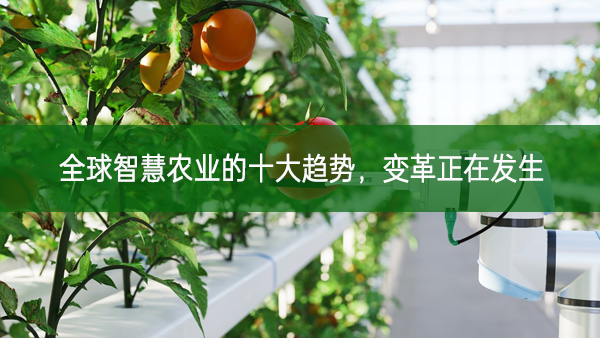 全球智慧農(nóng)業(yè)的十大趨勢(shì)，變革正在發(fā)生