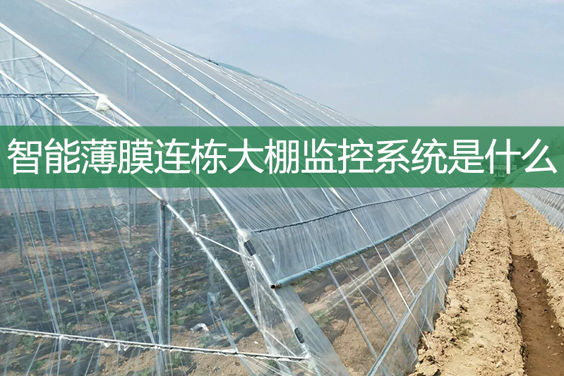 智能薄膜連棟大棚監(jiān)控系統(tǒng)是什么