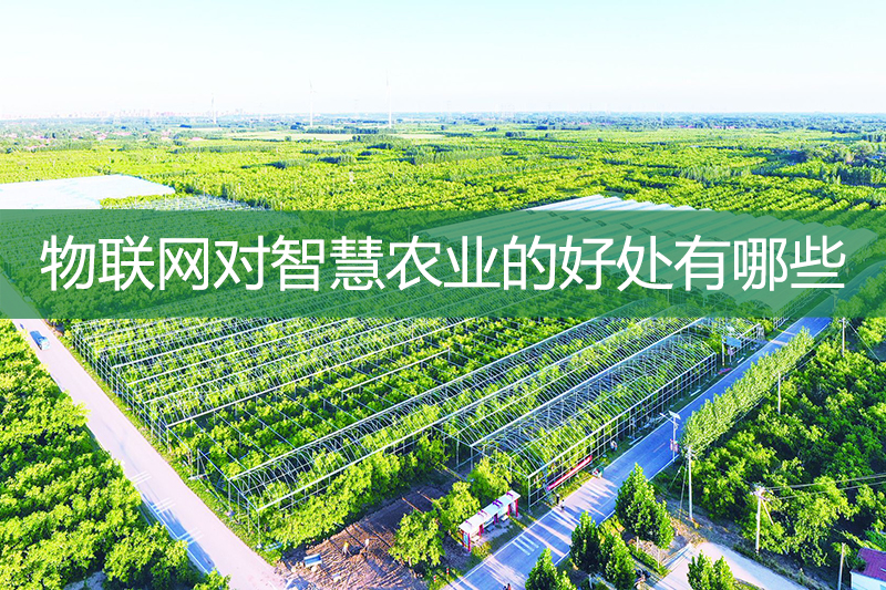 物聯(lián)網(wǎng)對(duì)智慧農(nóng)業(yè)的好處有哪些
