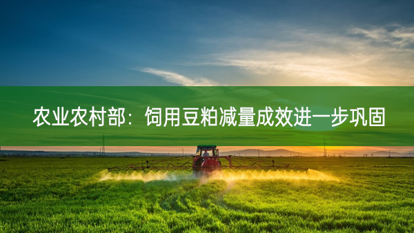 農業農村部:飼用豆粕減量成效進一步鞏固