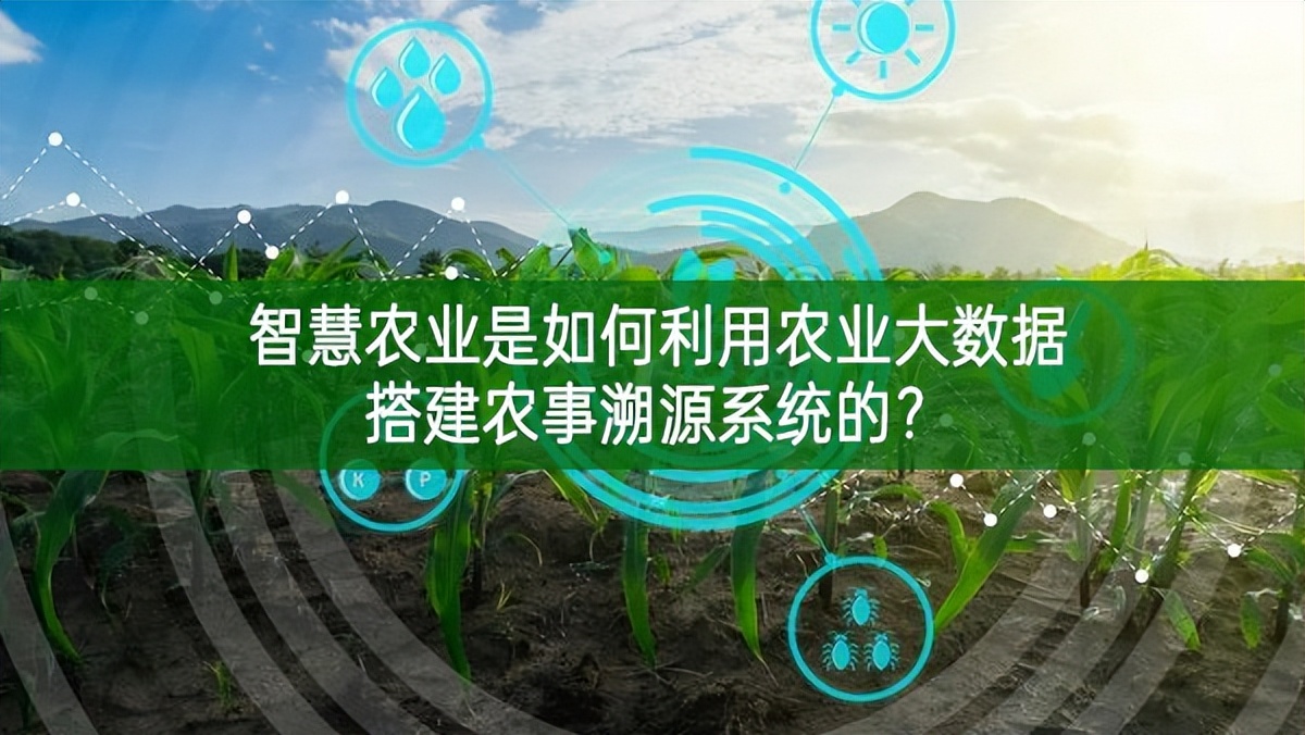 智慧農業是如何利用農業大數據搭建農事溯源系統的?