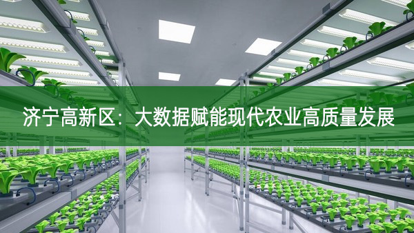 濟(jì)寧高新區(qū):大數(shù)據(jù)賦能現(xiàn)代農(nóng)業(yè)高質(zhì)量發(fā)展