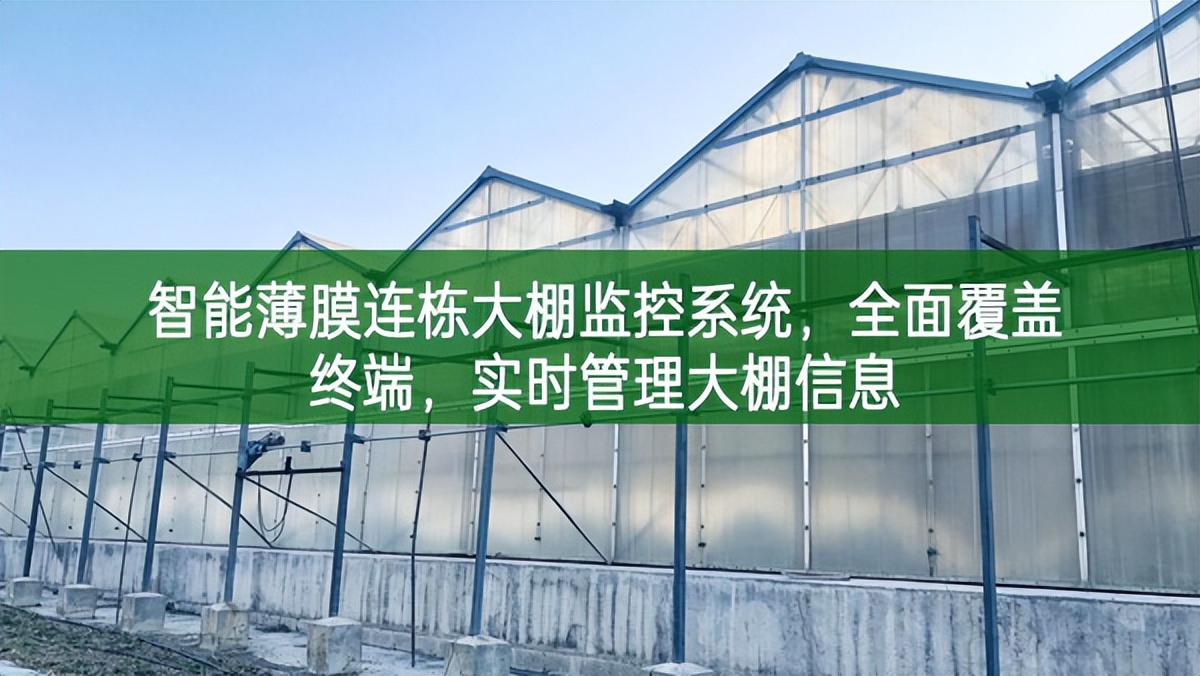 智能薄膜連棟大棚監(jiān)控系統(tǒng),全面覆蓋終端,實(shí)時(shí)管理大棚信息