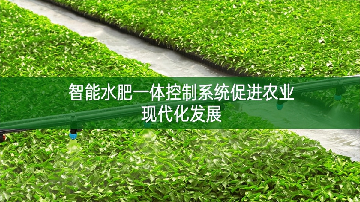 智能水肥一體控制系統(tǒng)促進(jìn)農(nóng)業(yè)現(xiàn)代化發(fā)展