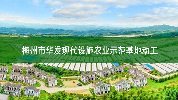 梅州市華發(fā)現(xiàn)代設(shè)施農(nóng)業(yè)示范基地動(dòng)工