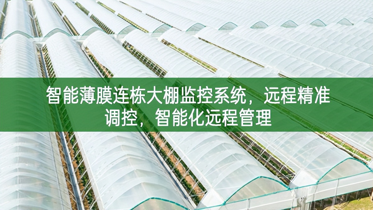 智能薄膜連棟大棚監控系統,遠程精準調控,智能化遠程管理