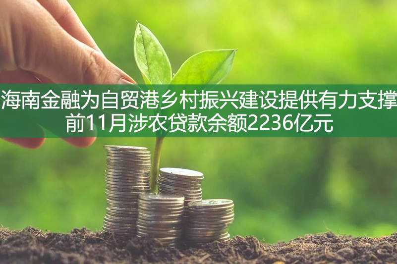 海南金融為自貿港鄉村振興建設提供有力支撐 前11月涉農貸款余額2236億元