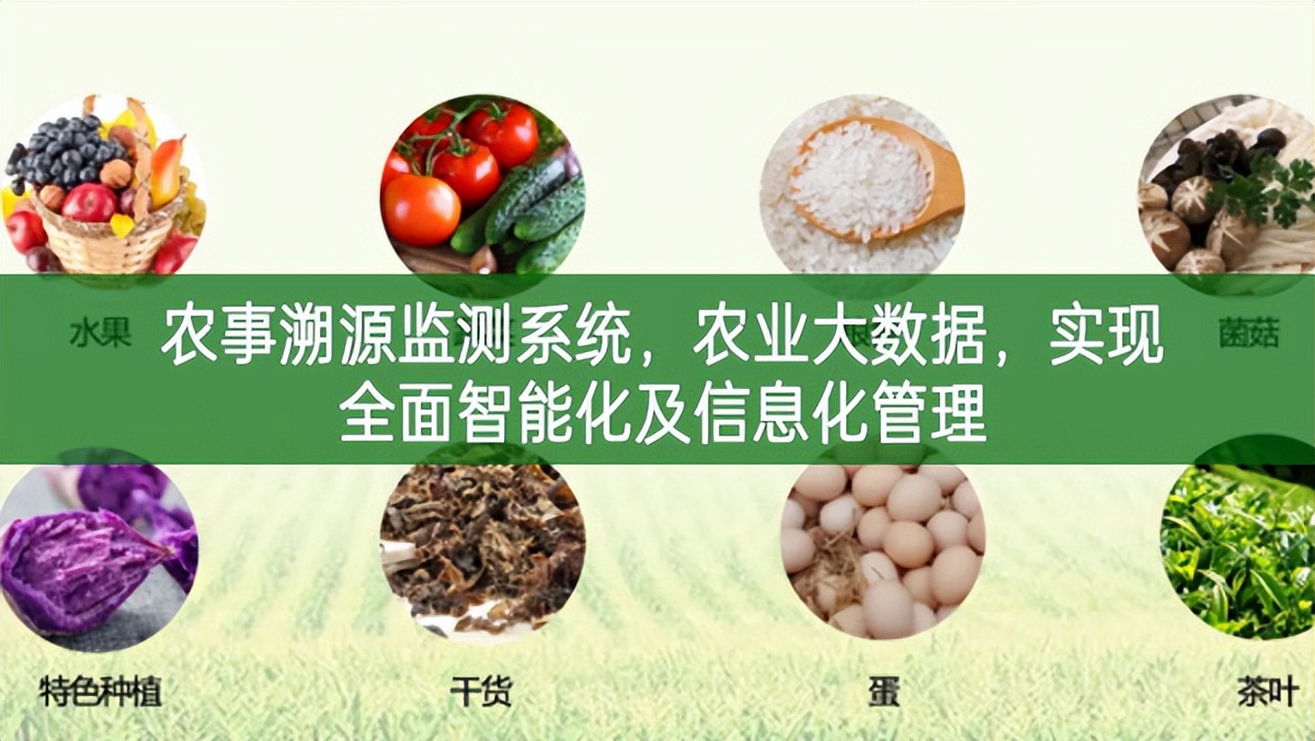 農事溯源監測系統,農業大數據,實現全面智能化及信息化管理