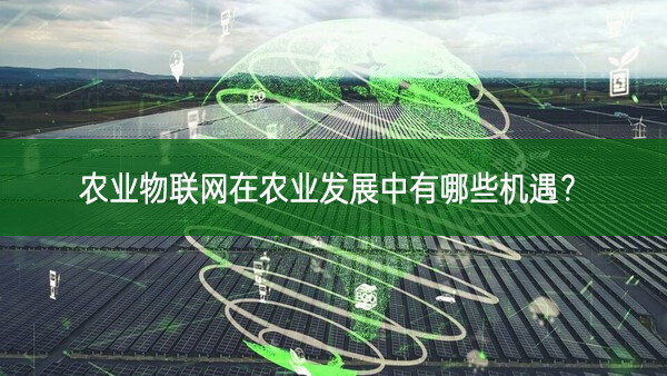 農(nóng)業(yè)物聯(lián)網(wǎng)在農(nóng)業(yè)發(fā)展中有哪些機(jī)遇?