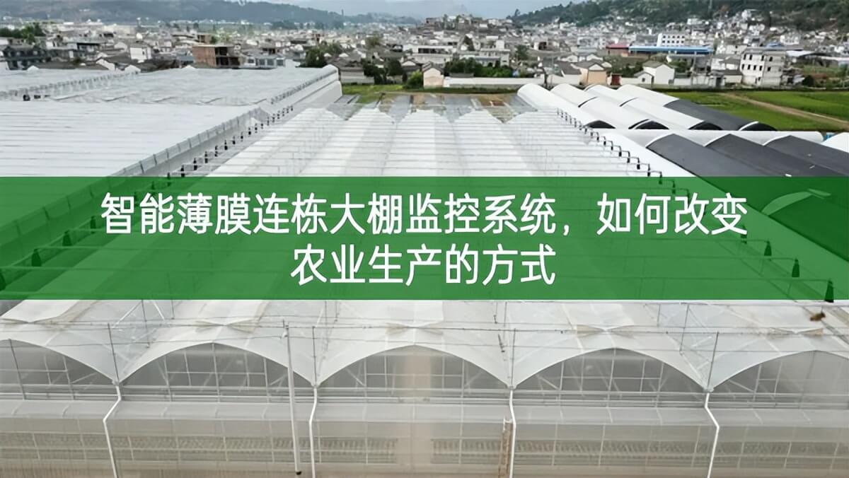 智能薄膜連棟大棚監控系統,如何改變農業生產的方式