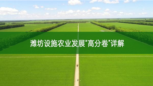 濰坊設(shè)施農(nóng)業(yè)發(fā)展“高分卷”詳解