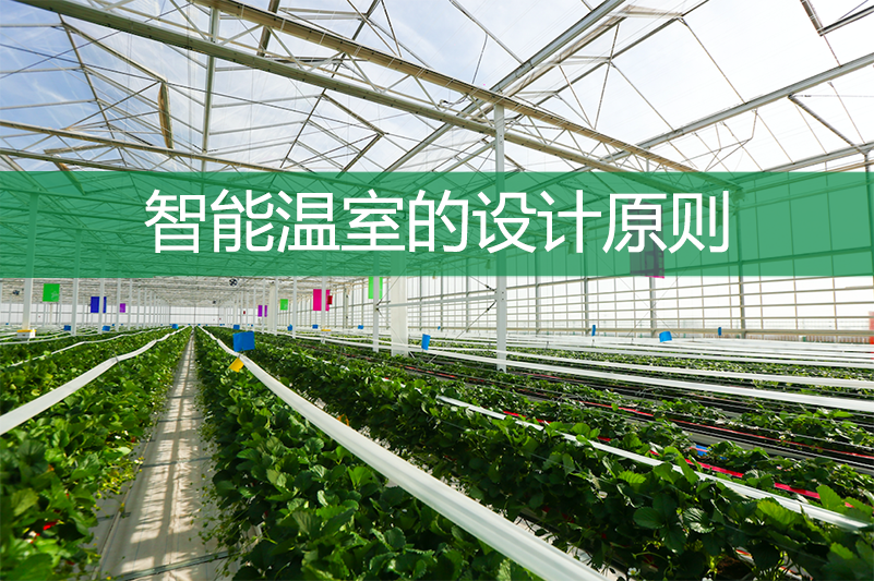 智能溫室的設計原則