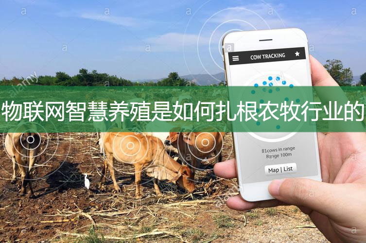 物聯網智慧養殖是如何扎根農牧行業的?