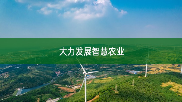 大力發(fā)展智慧農業(yè)