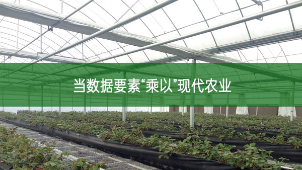 當(dāng)數(shù)據(jù)要素“乘以”現(xiàn)代農(nóng)業(yè)