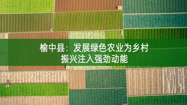 榆中縣:發(fā)展綠色農(nóng)業(yè)為鄉(xiāng)村振興注入強(qiáng)勁動(dòng)能