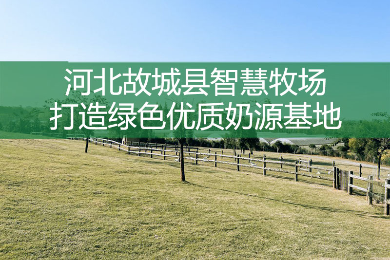 河北故城縣智慧牧場打造綠色優質奶源基地
